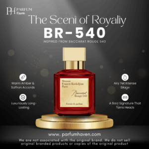 BR 540
