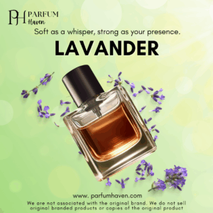 Lavender